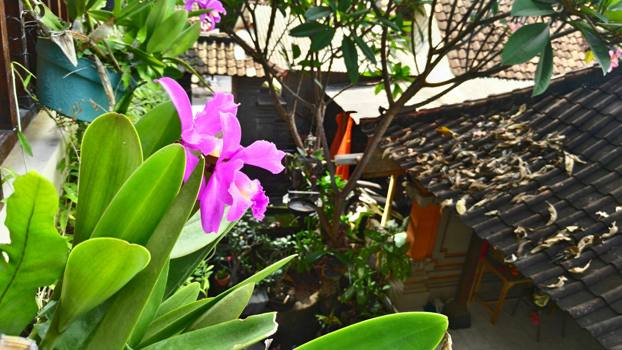 Nyoman Badri Homestay Ubud  Ngoại thất bức ảnh
